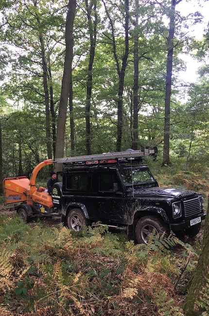 we provide friendly, expert tree care throughout Sussex